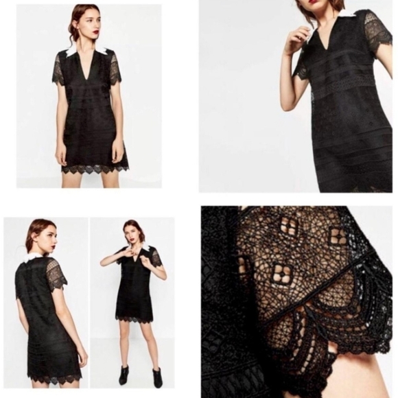 Zara Woman Lace Crochet Guipuire Dress Size Small - Picture 9 of 9